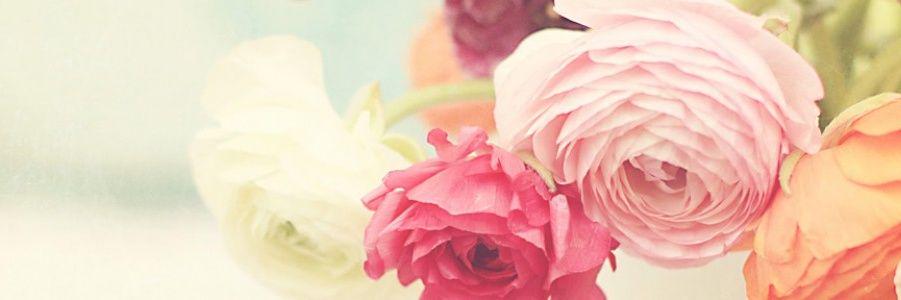 STLTAnl's profile banner image
