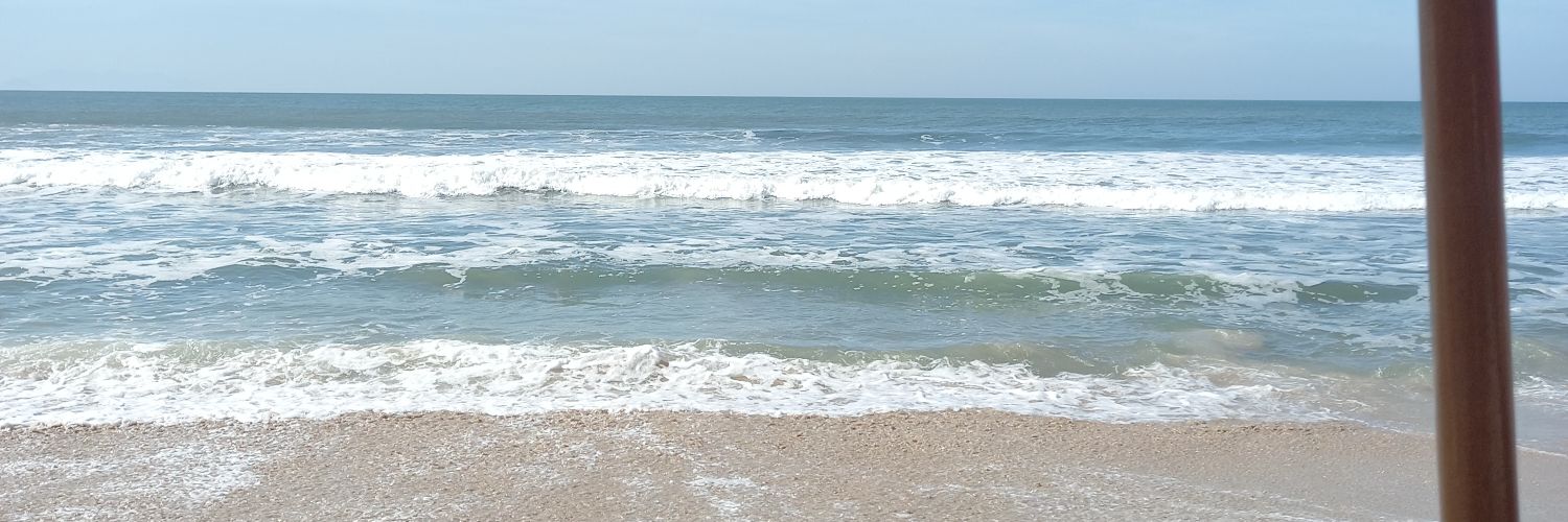 giegomes's profile banner image