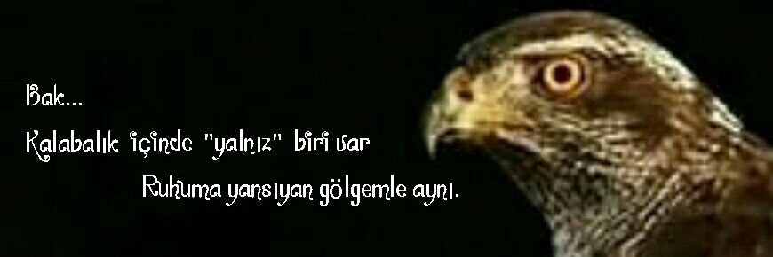 atmaca_K_'s profile banner image