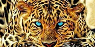 Jenyswiss's profile banner image