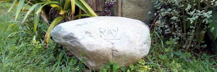 RaySaavedra's profile banner image