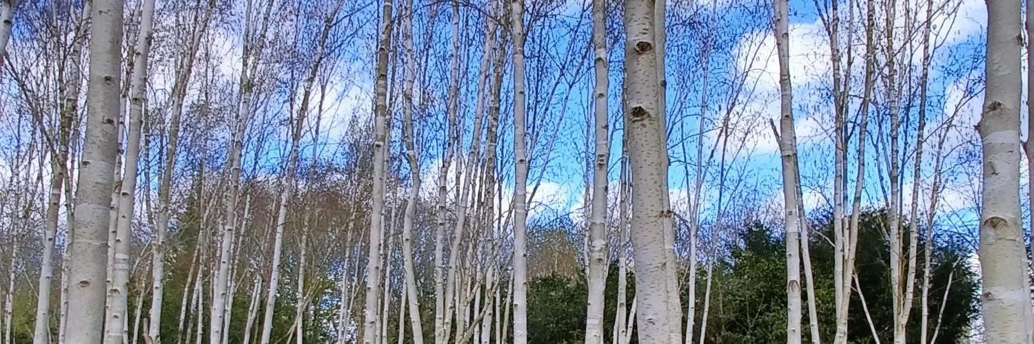HelenDc's profile banner image