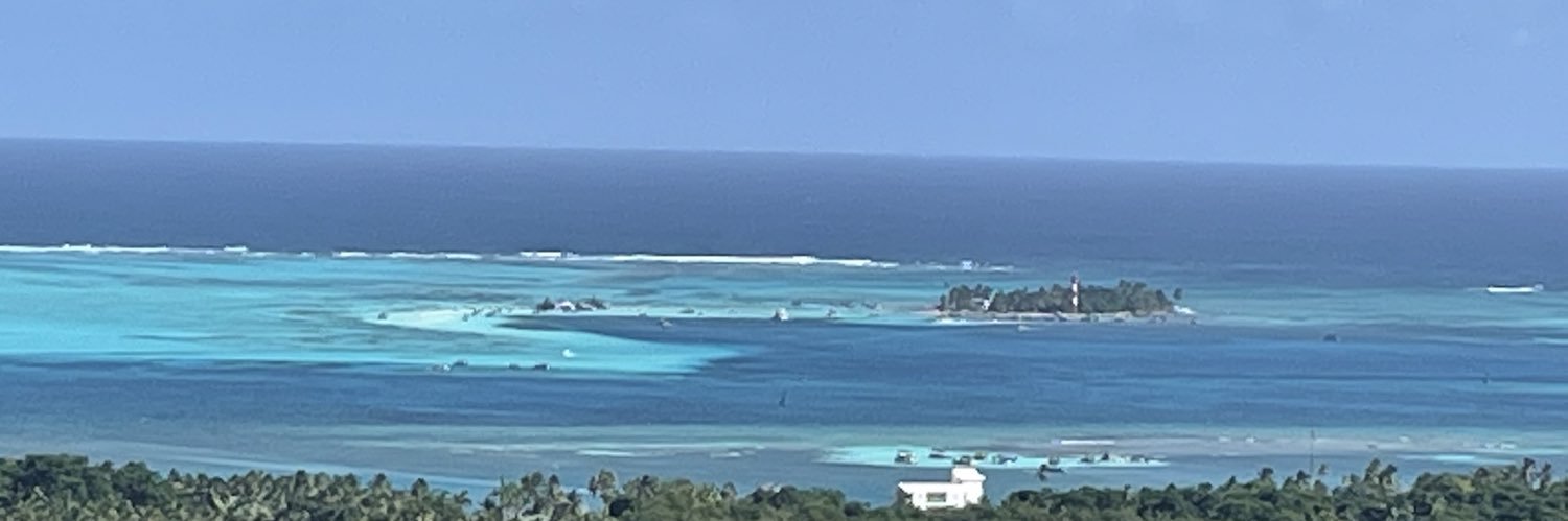 Lina Diaz-Gallo banner