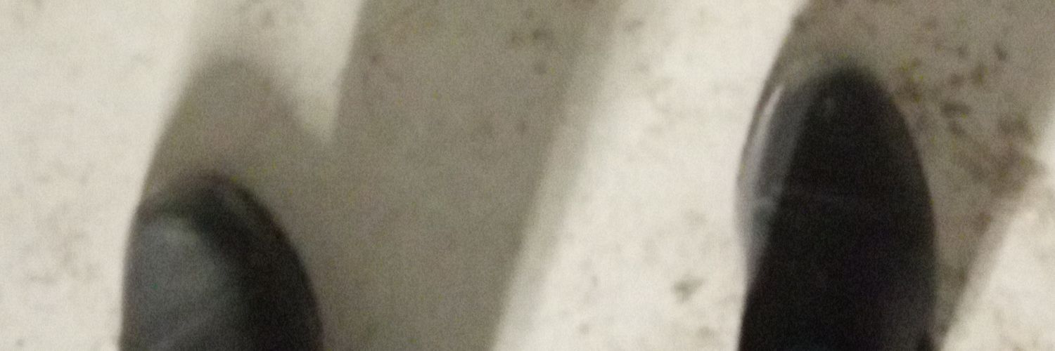 Мыгыев Георгий banner