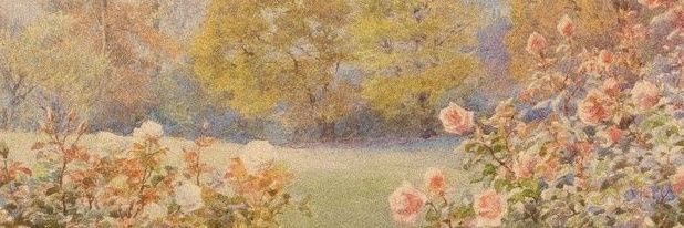 pxettii's profile banner image