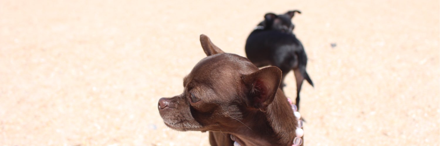 Realityjunkyard's profile banner image