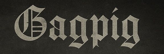 Gagpig's profile banner image