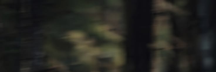 MartiinJason77's profile banner image