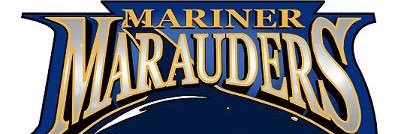 Michelle Fankhauser banner