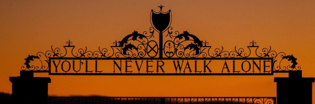 Nazli Hamilton banner