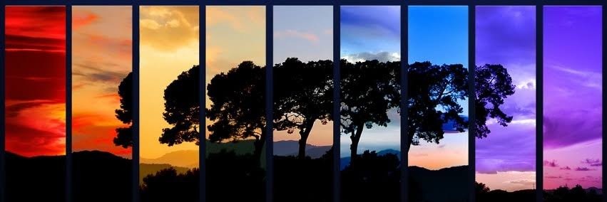 michaelwessmer's profile banner image