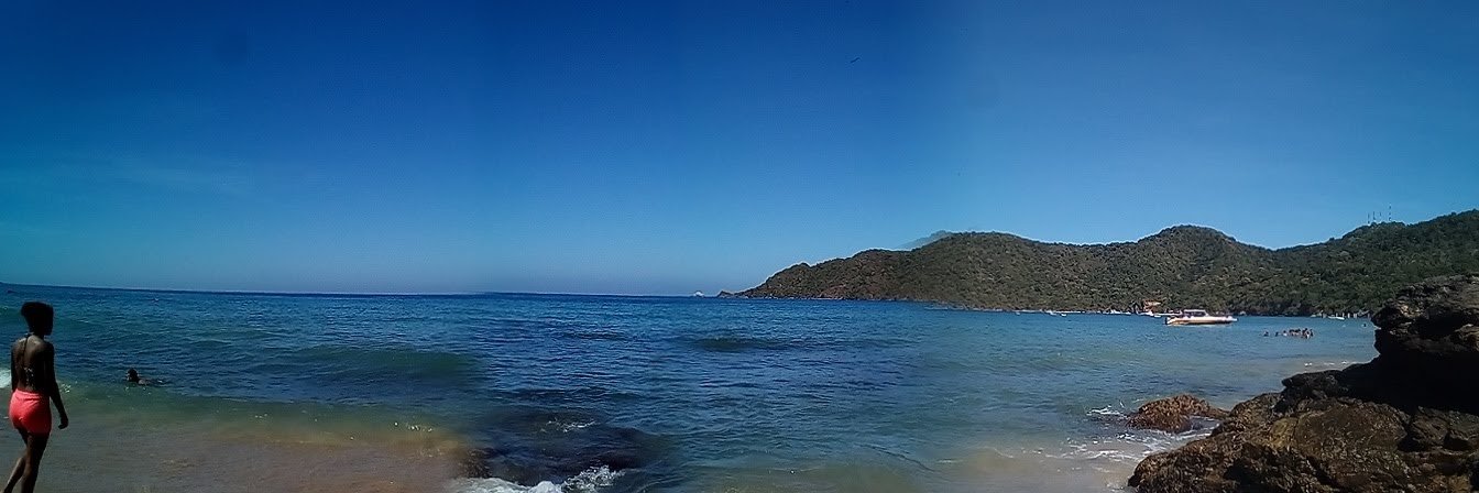 anarella gámez banner