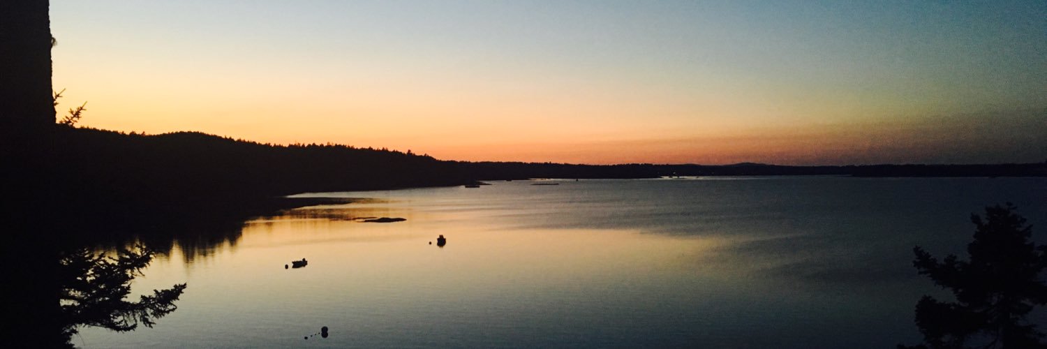 Alexander Fine banner