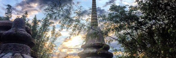 mbenton26 Profile Banner