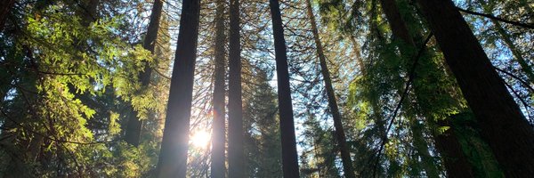 kendavis2 Profile Banner