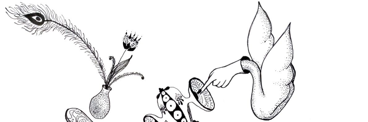 shipkofff's profile banner image