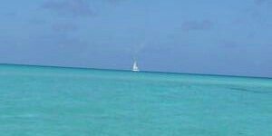 rmsotillo's profile banner image