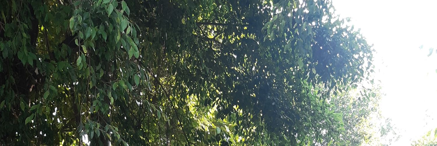 andhikaely's profile banner image