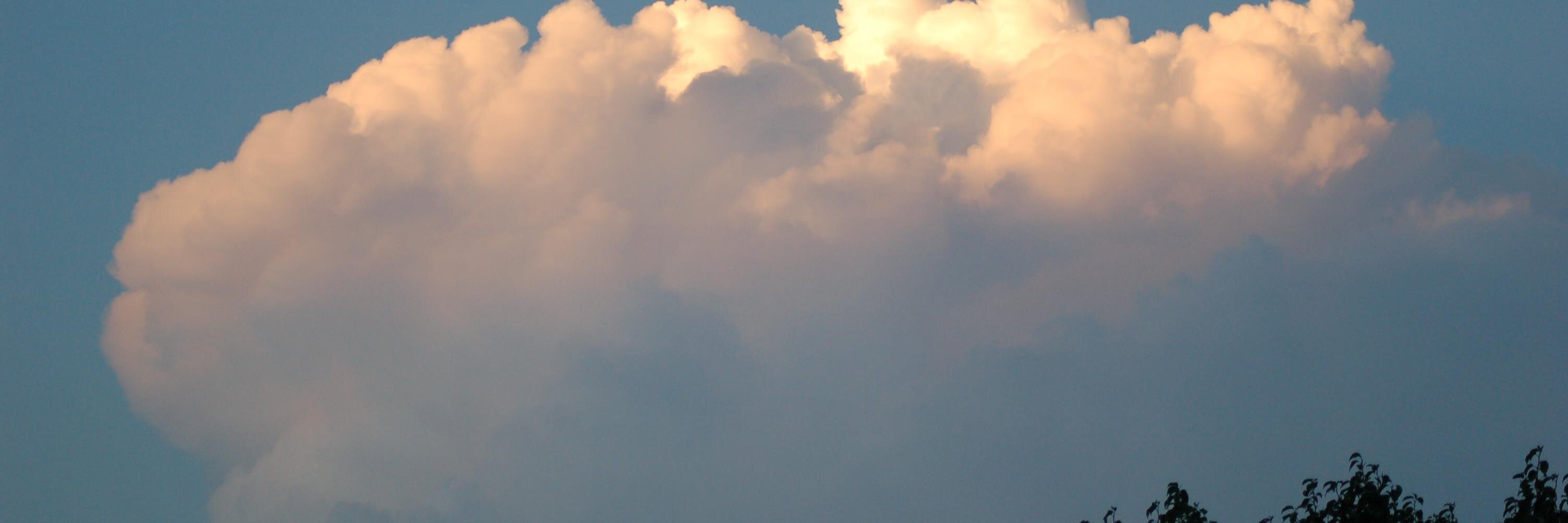 NorthTexasAMS banner