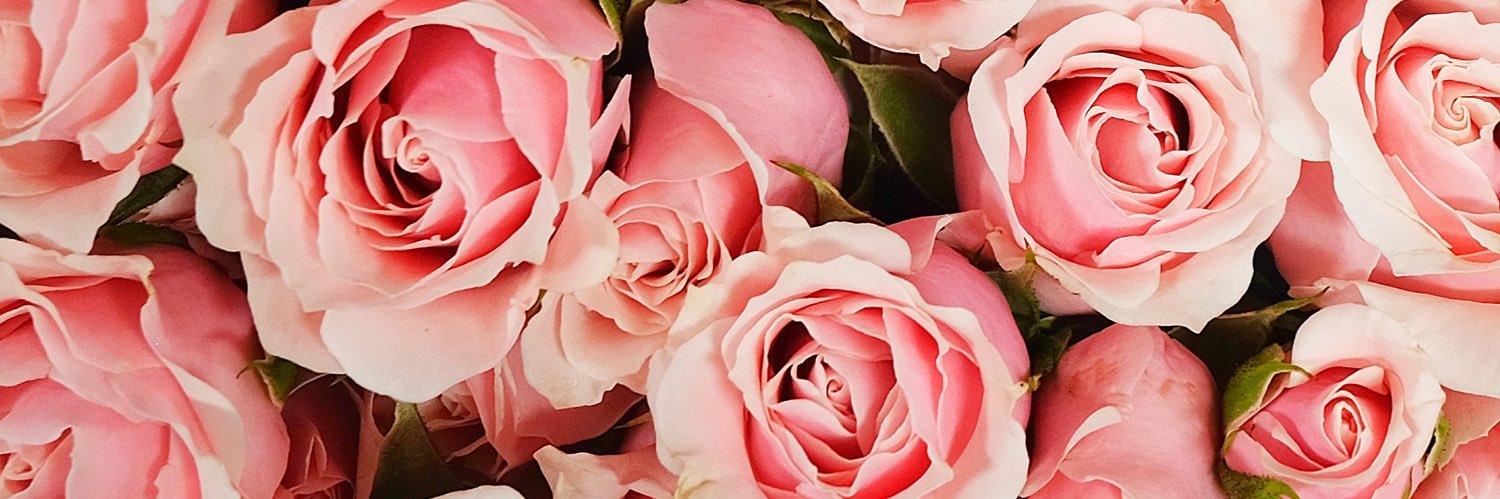 NooraBerry's profile banner image