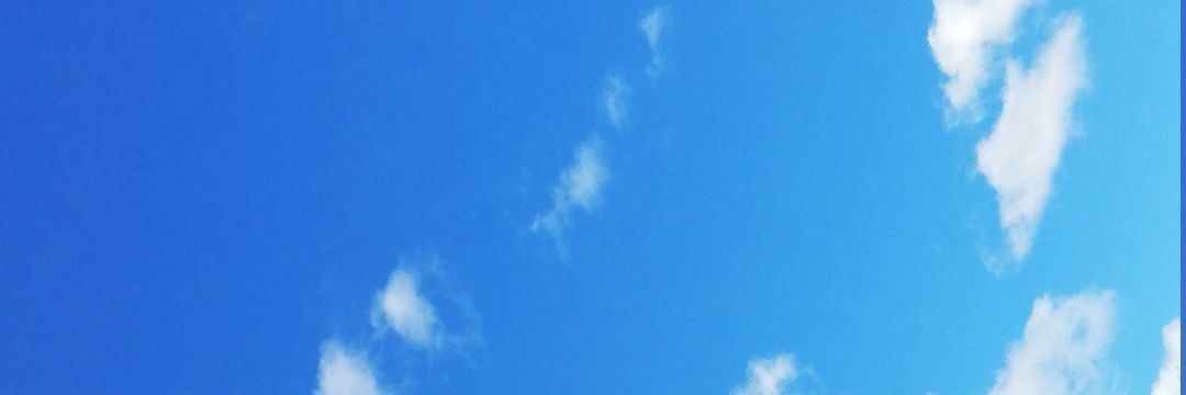sandie_jp's profile banner image