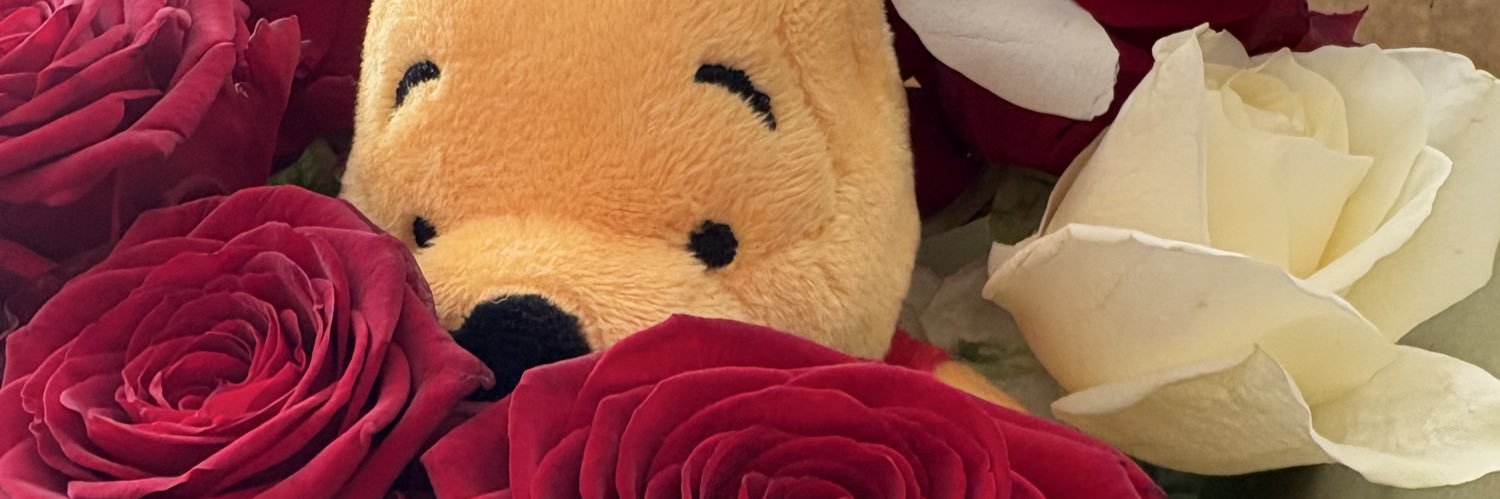 leapesiiin's profile banner image