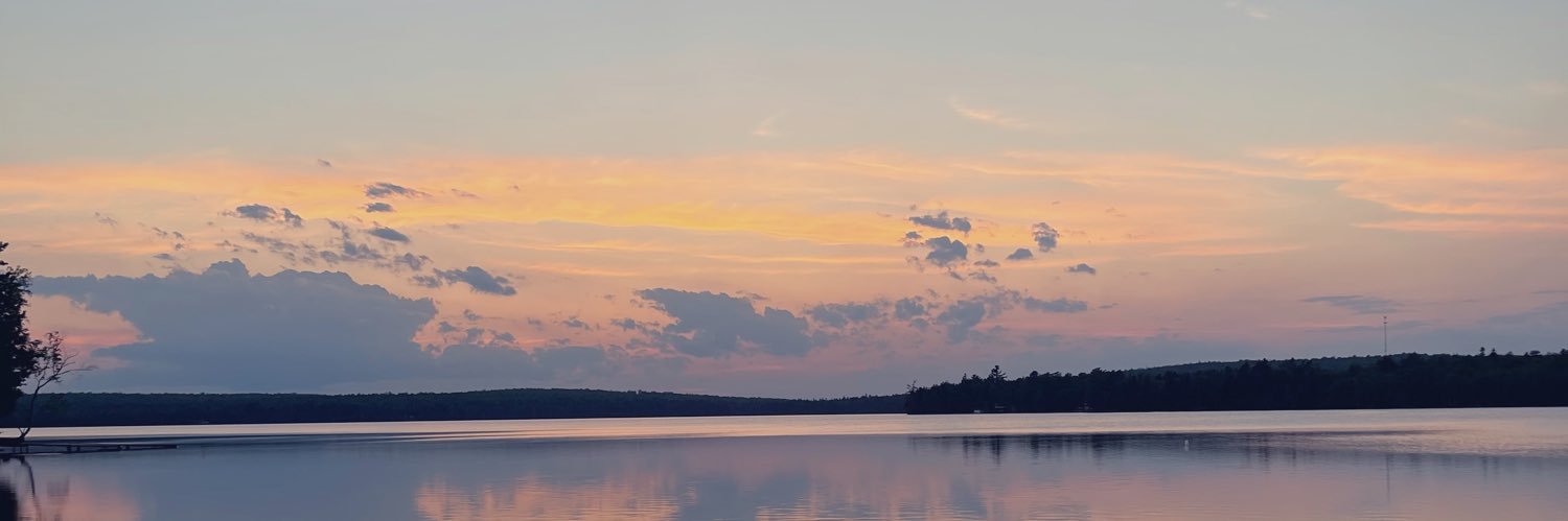 Rachel_Cheeks's profile banner image