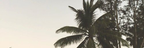 XMarinaMp's profile banner image