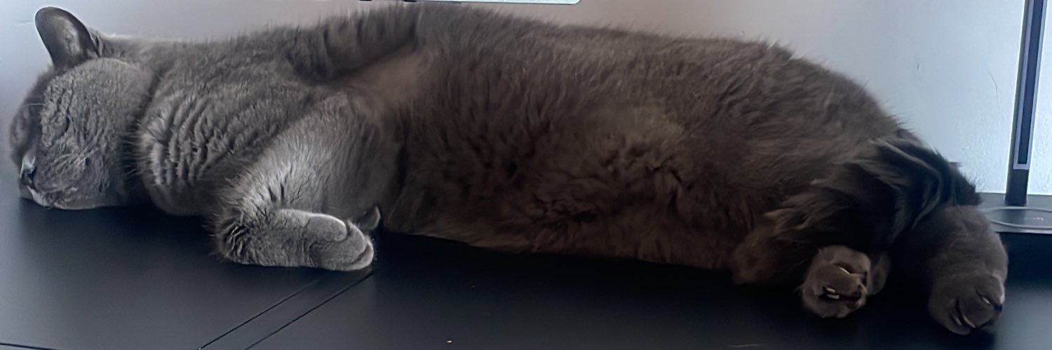ashhbitchh's profile banner image