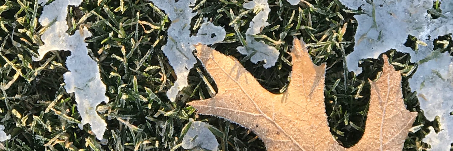 OSUJacki's profile banner image