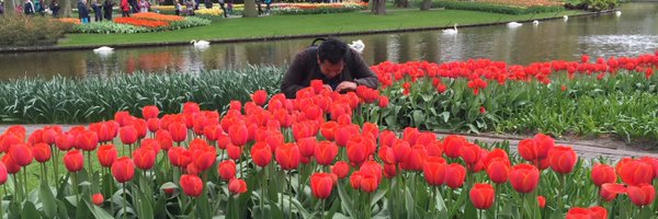 wenkt Profile Banner