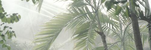 Misiaczek69222's profile banner image