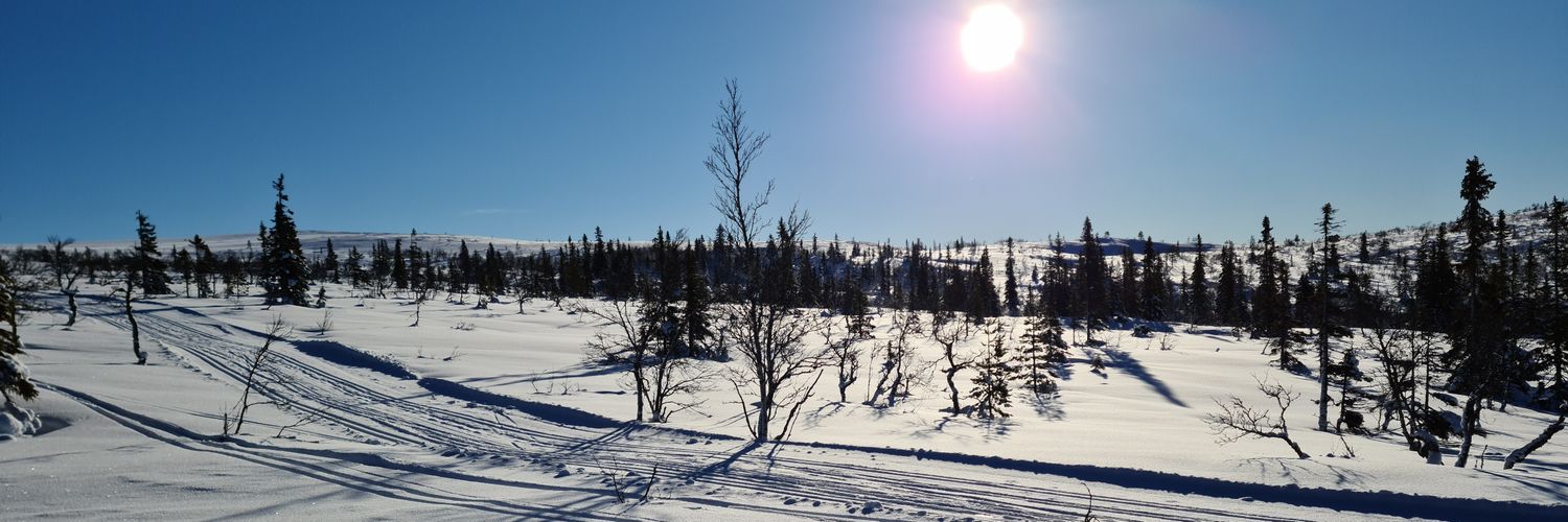 JTDoehl's profile banner image