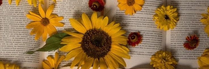 A_witchMind8's profile banner image