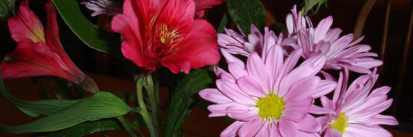 JenniferRice66 Profile Banner