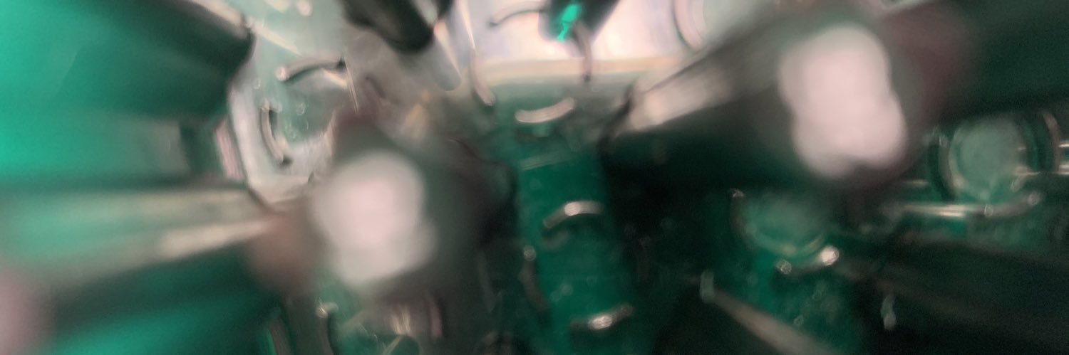 skyebochter's profile banner image