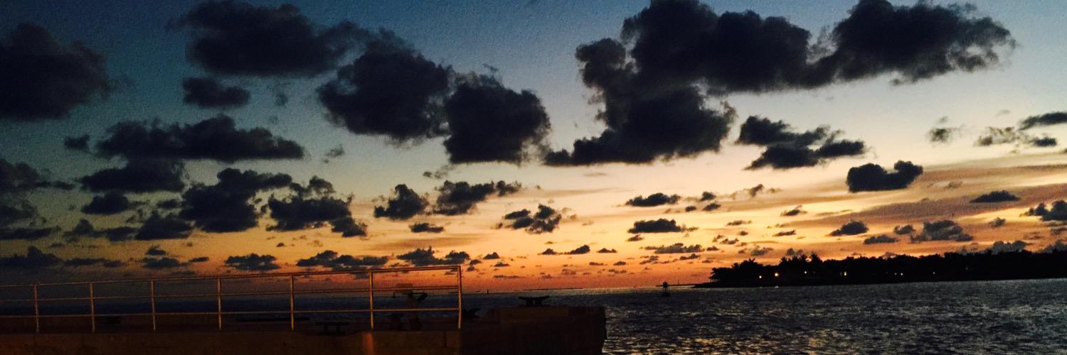 ElisaFedor's profile banner image