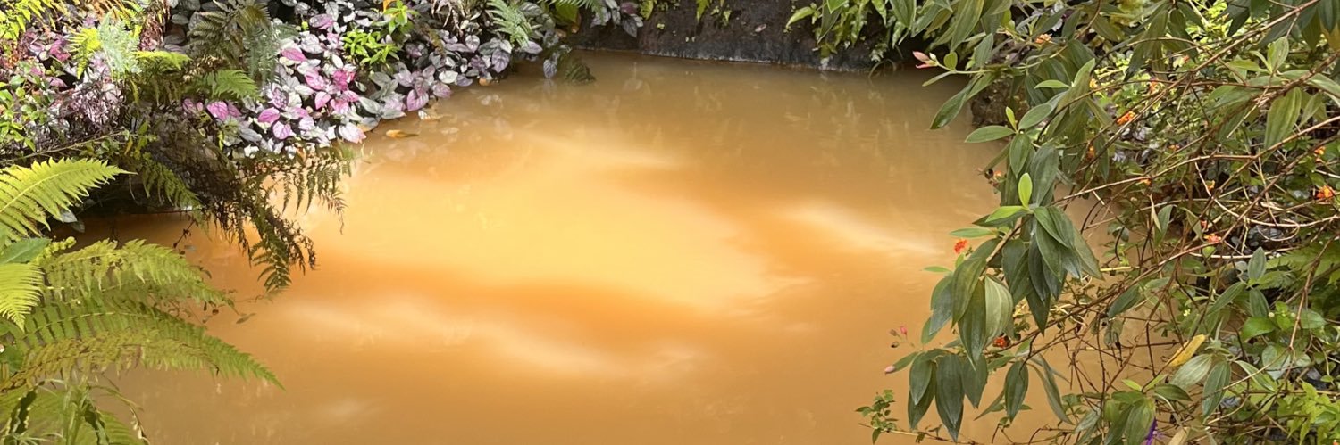 K 🇯🇲🇰🇳 🇵🇸 banner