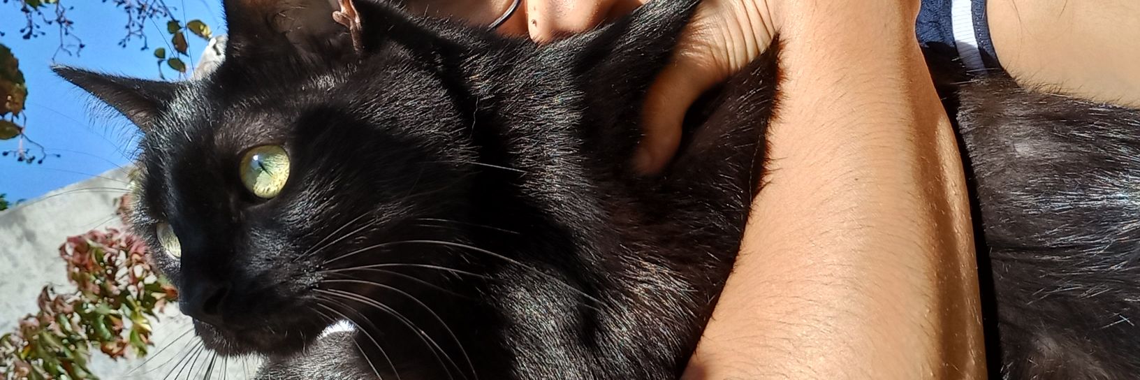 daniiduarteeee's profile banner image