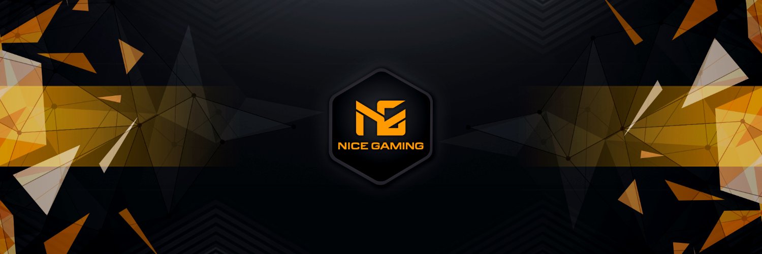 Nice Gaming VALORANT HIGHLIGHTS banner