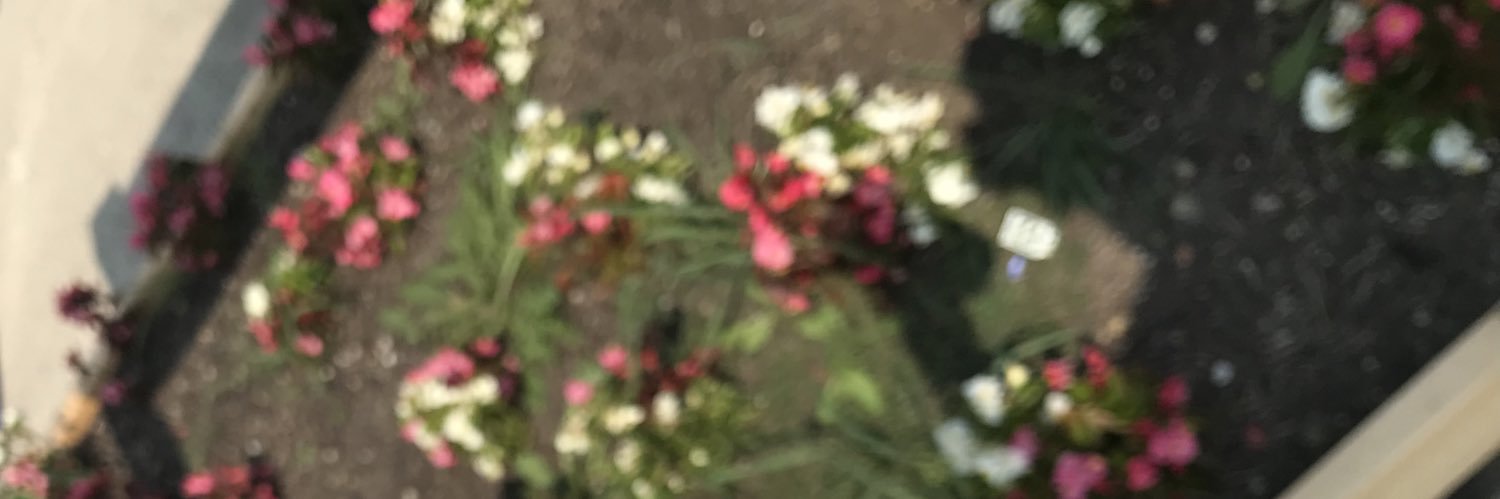 eastside_Rosee's profile banner image