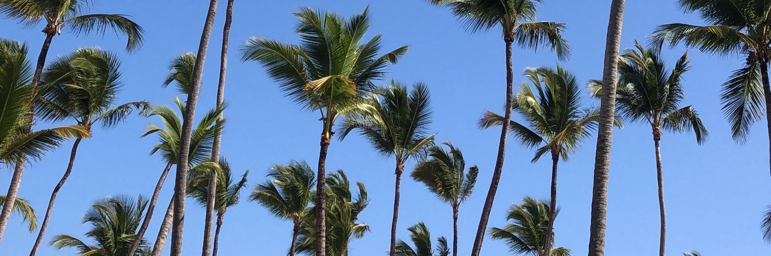 danibve_'s profile banner image