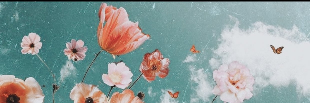 Nikkiiismith's profile banner image