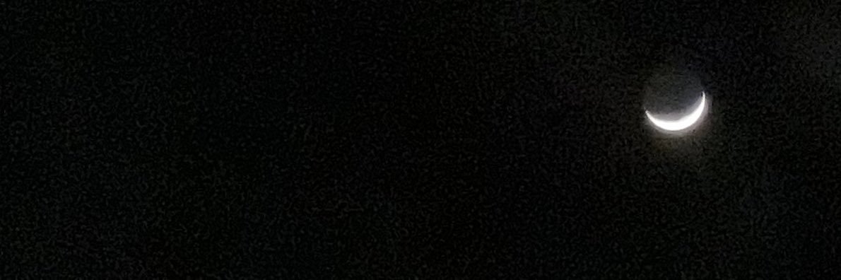 madelynredden's profile banner image