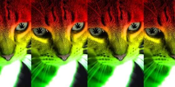 Sam_Cute_O8's profile banner image