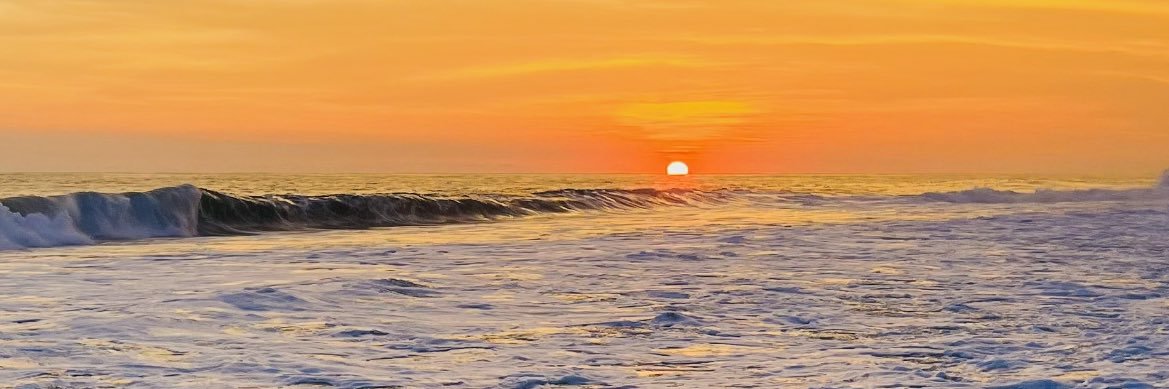 diann_ro's profile banner image