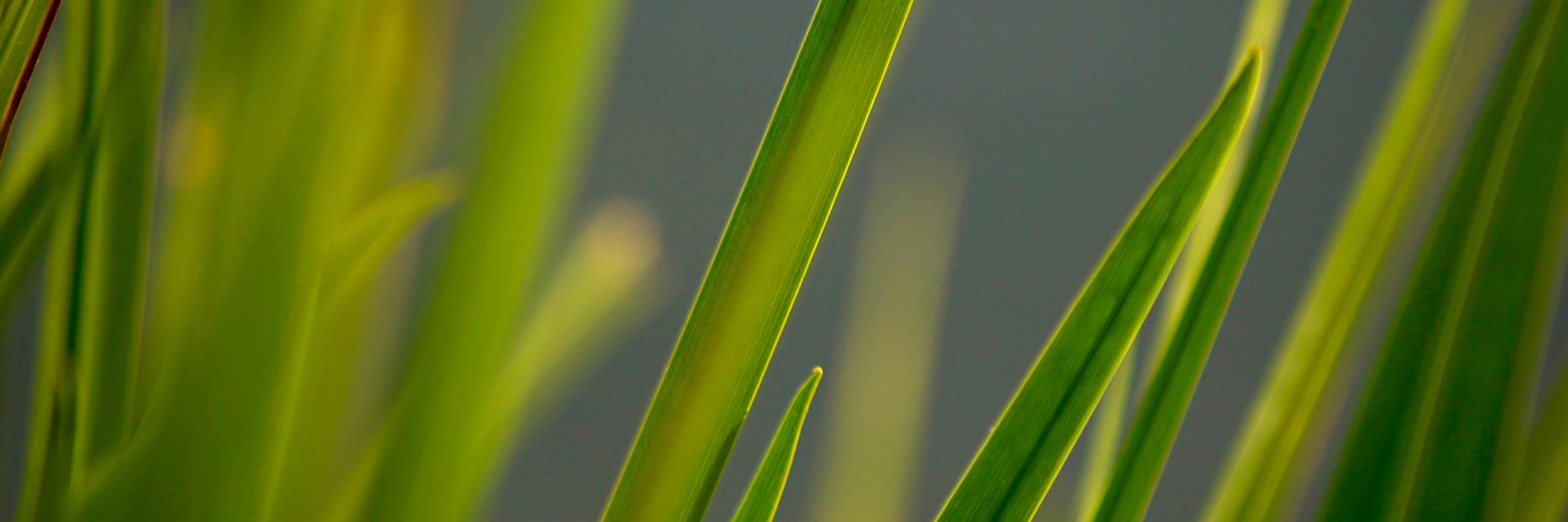 aimeerochard's profile banner image