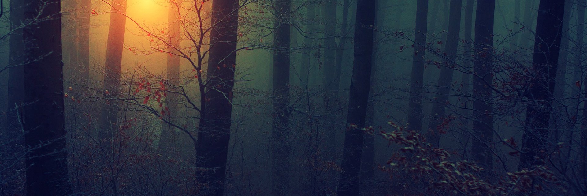 Beau banner