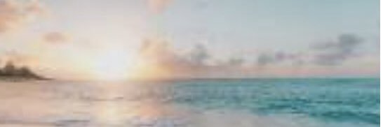 💛 Marchelline 💛👀🍜 banner