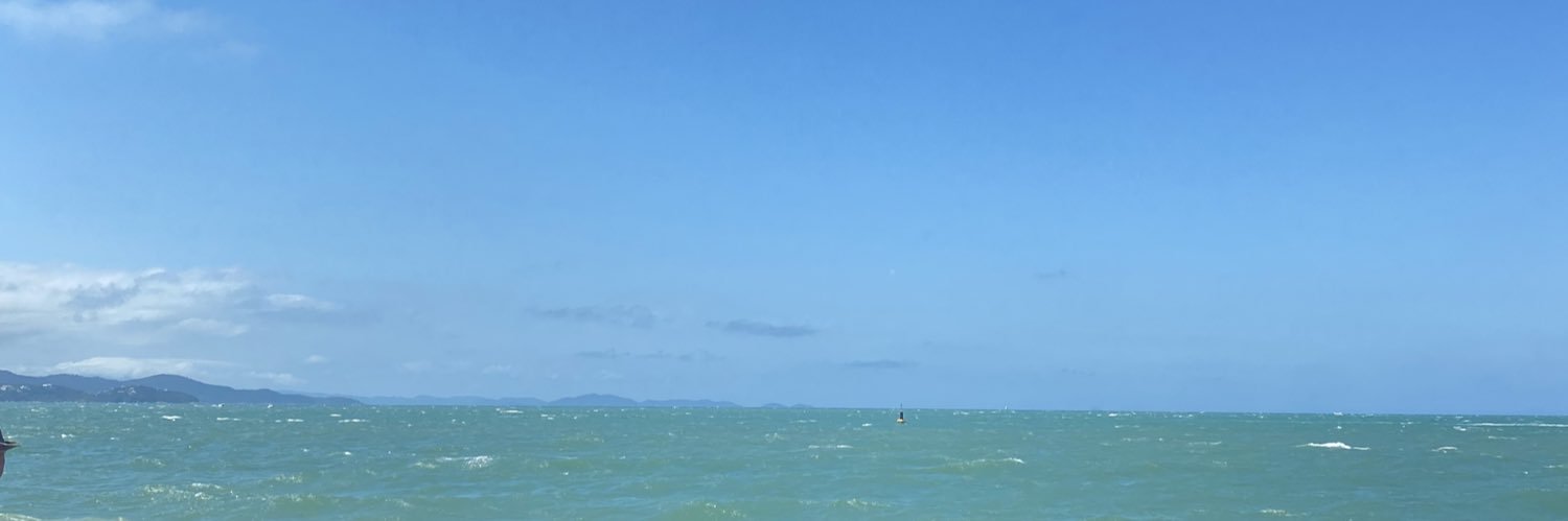 totoranzolin's profile banner image